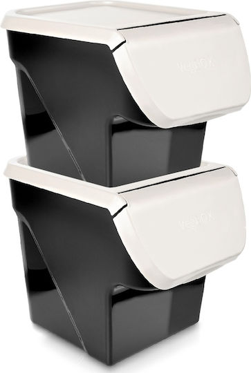 Vilde Set 2 Bucăți Casete Utilizare Generală Cu Capac Plastic Gri 2x26x34cm 2 Bucăți