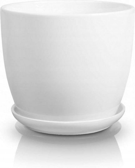 Polnix Γλάστρα Πήλινη White