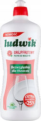 Ludwik Lichid De Spălat Vase Cu Grapefruit 900g