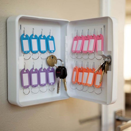 Avizar Wall-mounted Key Cabinet 20 Slots Steel Secure Lock Grey