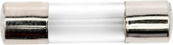 Fuse 5x20 Mm Fast 1a