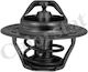 Termostat Lichid De Răcire Calorstat By Vernet Th6244.92j