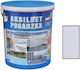 AKSIL AKSILBET FLOOR PAINT LIGHT Πλαστικό Χρώμα Light Gray 1lt