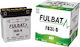 Fulbat Ful Dry Battery Fb3l-b Yb3l-b Dry Maintenance-free Acid Included