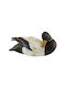 Dekorative Ente