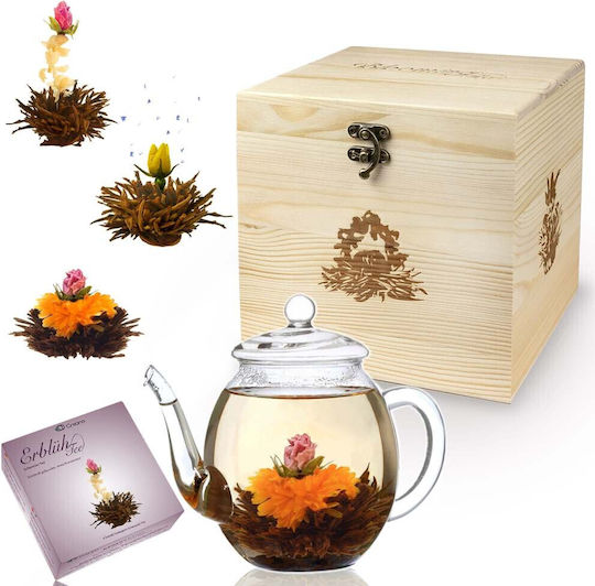 Creano Стъклен Чайник 500ml