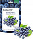 Biopon Bloom Multi-component Soluble Fertilizer Blueberries 200g