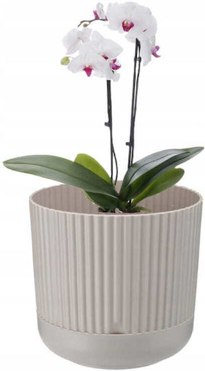 Galicja Kunststoff-Blumentopf Beige Galicja Kunststoff-Blumentopf Beige