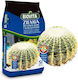 Soil Substrate Cacti Succulents 5l