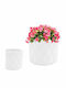 Polnix Vas Pentru Plante Ceramic Alb 13x13cm