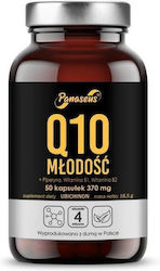 Panaseus 50 Capsule