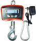 Electronic Professional Crane Scale with Weighing Capacity 300kg and Accuracy 100g