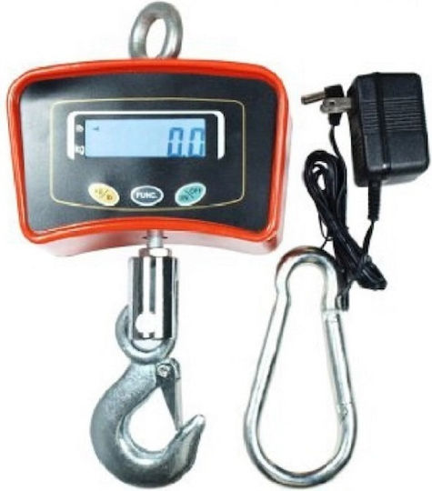 Electronic Professional Crane Scale with Weighing Capacity 300kg and Accuracy 100g