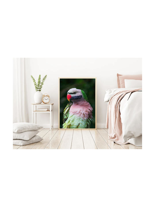 Colorful Parrot Painting 70x100