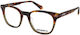 Superdry Prescription Eyeglass Frames Sdo 3065 109