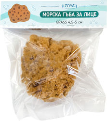 Гъба За Лице Морска Grass 4 5-5 См – Небоядисана