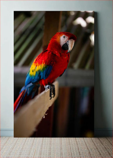 Πίνακας Colorful Parrot On A Perch Πολύχρωμος Παπαγάλος Μια Πέρκα 70x100