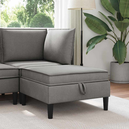 vidaXL Hocker Für Das Wohnzimmer Mit Stauraum Belegt Mit Samt Dunkelgrau