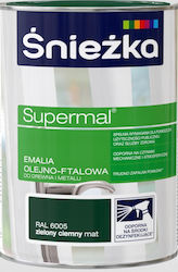 Śnieżka Supermal Öl-Alkyd Emaille Holz Metall Dunkelgrün Matt 0,8l