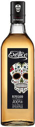Exotico