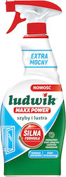 Unilever Spray für Glas 750 ml