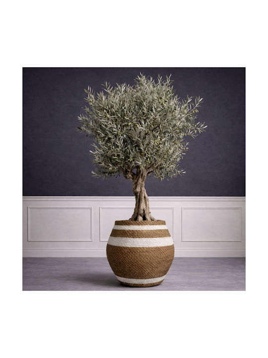Supergreens Kyma Pithos Γλάστρα Τσιμεντένια Δίχρωμη 39x39x41εκ.