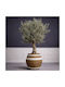 Supergreens Kyma Pithos Γλάστρα Τσιμεντένια Δίχρωμη 39x39x41εκ.