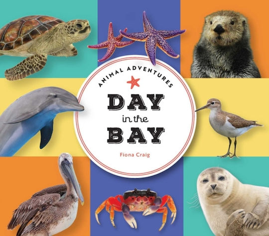 Animal Adventures: Day In The Bay - The Collective Book Studio - Board Book