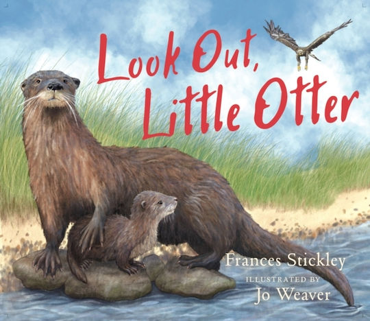 Look Out, Little Otter - Birlinn General - Paperback / Softback
