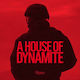 House Of Dynamite - Rizzoli International Publications - Hardback