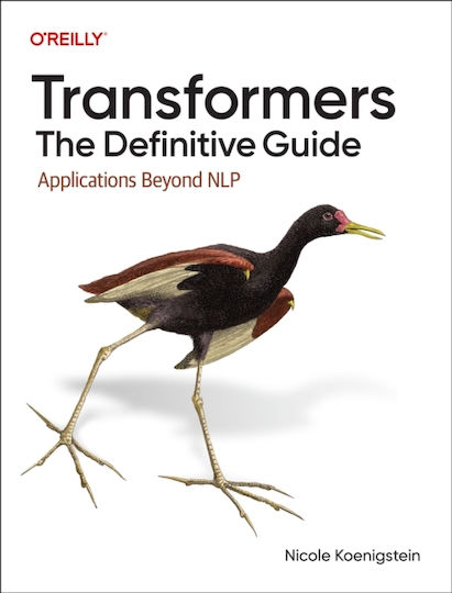 Transformers: The Definitive Guide - O'reilly Media - Paperback / Softback