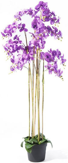 Künstliche Pflanze Orchidee Phalaenopsis 8811-6 180cm Lila Supergreens Stoff Kunststoff