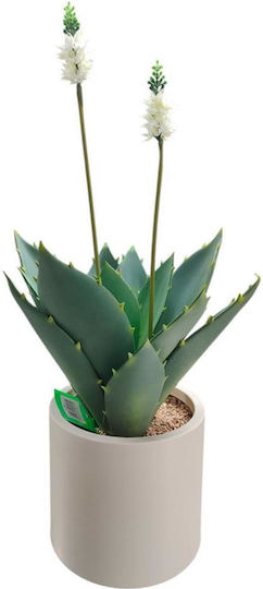 Aloe Supergreens