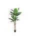 Banana Copac Artificial Ghiveci 220cm Peva Verde C540569