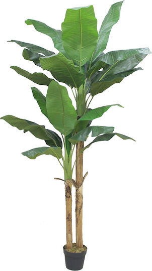 Banana Copac Artificial Ghiveci 220cm Peva Verde C540569