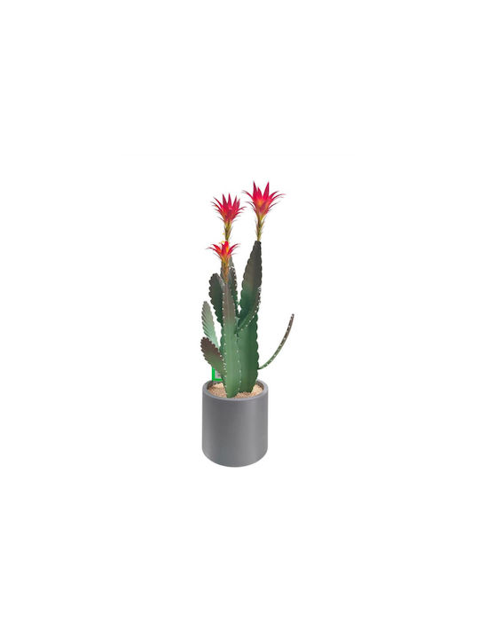 Cactus Supergreens