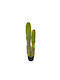 Cactus Supergreens