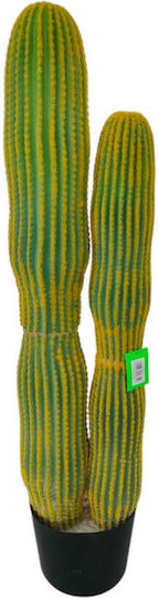 Kaktus Supergreens