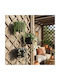 Alista Home Schwarzer Blumentopf