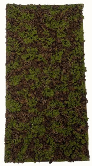 Supergreens Техническа Листа Moss Gaia Зелено Черно 50x100 См 4991-7