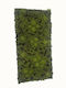 Supergreens Τεχνητή Φυλλωσιά Moss Edem Πράσινη 50x100 Εκ 7991-7