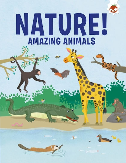 Amazing Animals - Hungry Tomato Ltd - Paperback / Softback