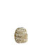 Light & Living Decorative Bamboo Vase Sarria White H21cm