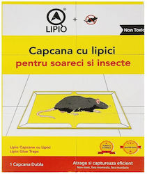 Alista Home Κόλλα 175548 Alista Home Κόλλα 175548