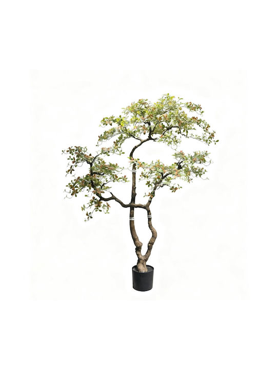 Supergreens Artificial Bonsai Tree Island Sprin...