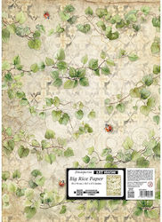 Decoupage Large Size Rice Paper Stamperia 50x70...