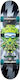Speed Demons Skate Komplette Kurzboard Mehrfarbig