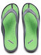 Men's Gray Flip Flops