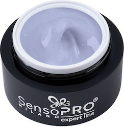 SensoPro SensoPro
