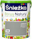 Śnieżka Barwy Natury Latex Interior Paint Graphite Mural 5l